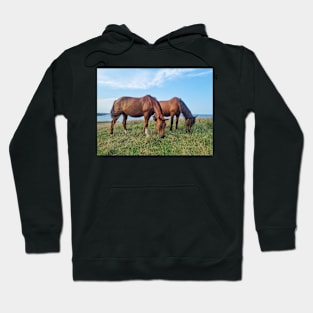 Horses by the Sea Hoodie